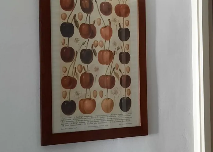 Your Lovely Nest In 別荘 *