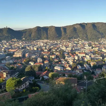 Your Lovely Nest In *