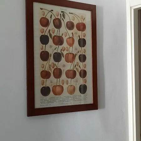 Your Lovely Nest In Casa vacanze *